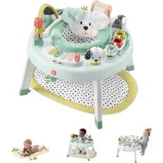 Baby activity mat Fisher Price Baby Activity Center 3 in 1