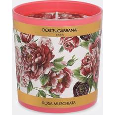 Dolce & Gabbana Rosa Moschata Scented Candle