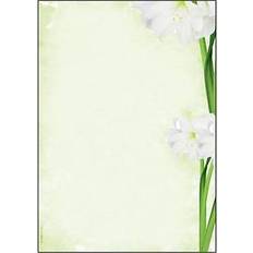 Sigel Motivpapier Green Flower Motiv DIN A4