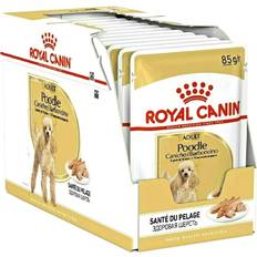 Royal canin poodle Royal Canin Poodle Adult 12x85g, vådfoder