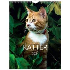 Burde väggkalender 2024 Burde Väggkalender 2024 Stora Kattkalendern