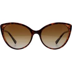 Bvlgari BV8246B 5496T5 Havana Polarized