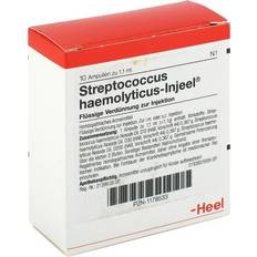 Heel STREPTOCOCCUS HAEMOLYTICUS Ampullen 10 Stück