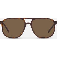 Dolce & Gabbana DG4423F Asian Fit 502/73 Tortoiseshell 58 Dark Tortoise