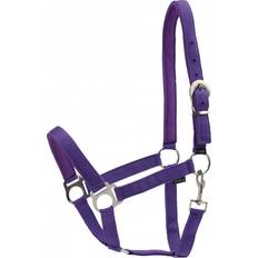 Morado Cabestros para caballos Horse Guard Cabezada Cuadra de nylon Violet