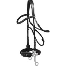 X-line Hackamore Trense