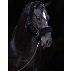 Halfter Covalliero SuperSoft Halfter - Black