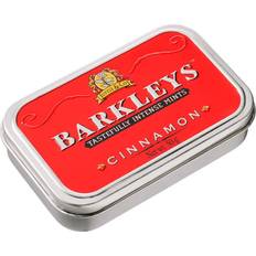 Goedkoop Pastilles Classic Mints Cinnamon