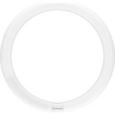 Tube LED Lamps LEDVANCE Tube 4000K 18.3W Value