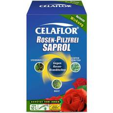 Beste Unkrautbekämpfung Celaflor Evergreen Rosen-Pilzfrei Saprol Konzentrat