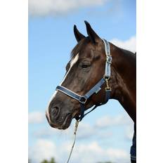 Halters & Lead Ropes Bucas Dublin Padded Luxury Halter