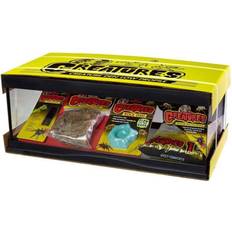 Zoo Med creature den low profile terrarium tarantula scorpion invert starter kit