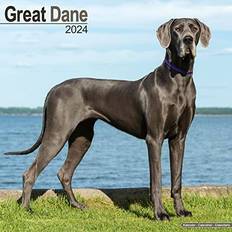 Avonside Dane Euro Calendar 2024
