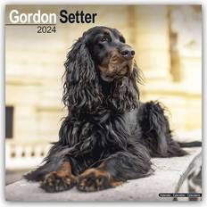 Gordon Setter Calendar 2024 Square Dog Breed 16 Month