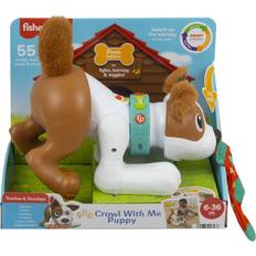 Toys Fisher Price Crawl with Me Puppy