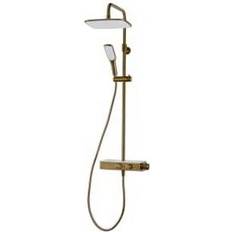 Shower head Triton (RMPBDIV8) Brass