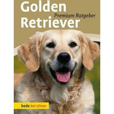 Golden retriever Golden Retriever