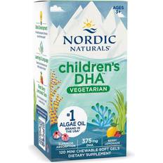 Natuurlijk Vetzuren Nordic Naturals children's dha vegetarian, 375mg, beerenlimonade, 120