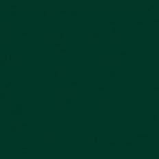 MyColors 12x12 Klassisk karton 216gsm Forest Green