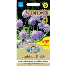 Pots, Plants & Cultivation Mr Fothergills Pretty Garden Wildflower Scabious