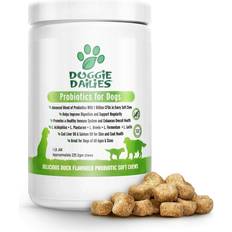 Probiotics for dogs Doggie Dailies Doggie dailies probiotics for dogs, advanced dog probiotics