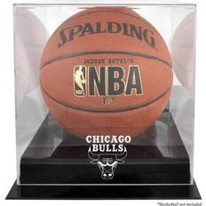 Mounted Memories NBA Logo Basketball Display Case