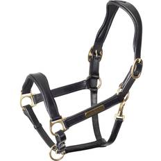 Halters & Lead Ropes Shires Rapida Cushioned Leather Headcollar - Black
