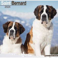 Avonside Bernard Calendar 2024