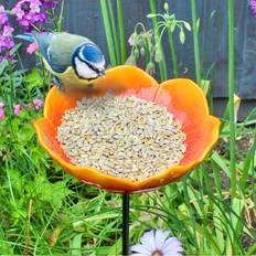 Wildlife World Poppy Red Bird Feeder