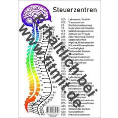 Beste Abdruckset Steuerzentren Wirbelsäule