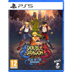 Double Dragon Gaiden: Rise of the Dragons (PS5)