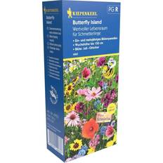 Kiepenkerl Sommerfugle Paradis blanding 100 Blomsterfrø