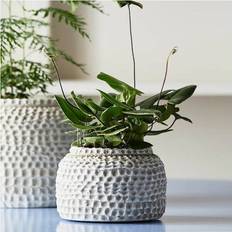 Nordal Aoba Krukke S Cement Naturhvid Krukke