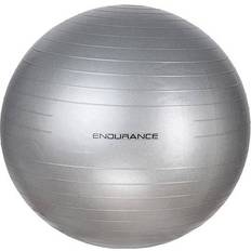 Endurance Træningsbolde Endurance Gym Ball 65 cm