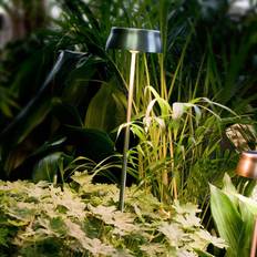 Batteridrevede - Grøn Bedlamper Zafferano Sister Light jordspyd Bedlampe
