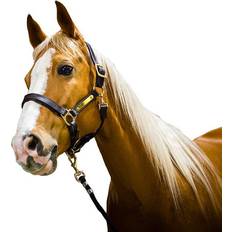 Amigo Padded Headcollar Horse Brown