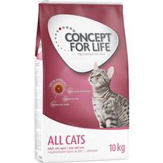 Concept for Life 2/3 store poser All Cats
