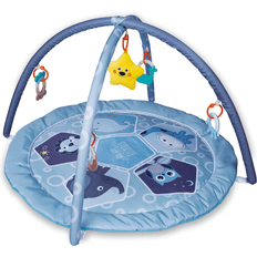 Zoo Activity Gym