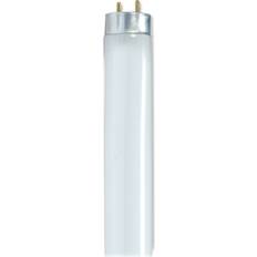 Satco S8420 Fluorescent Lamps 32W G13