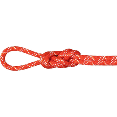 Kiipeilyköydet Mammut Gym Classic Rope Classic Standard Raspberry-White Classic Standard, raspberry-white