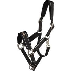 Halfter & Führstricke Back On Track Werano Halfter - Black/Silver