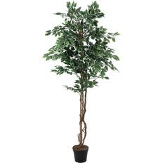 Silver Konstgjorda växter Europalms Variegated Ficus, artificial plant Konstgjord växt