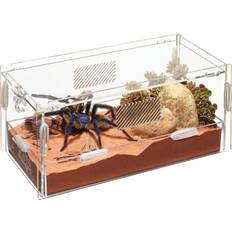 Mikrolivsmiljöterrarier Med Låsspärr