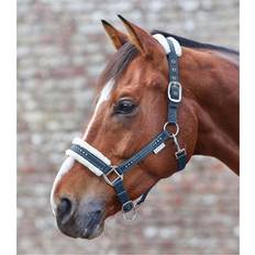 Longes et Licols Waldhausen Licol Cheval Avec Fourrure - Bleu