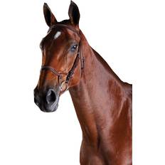 Collegiate ComFiTec Fancy Stitch Bridle