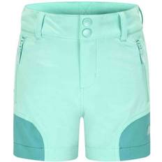 Svelgen Shorts, Cabbage, år