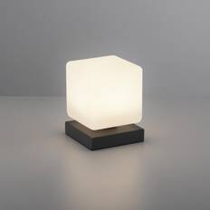 Paul Neuhaus Bordslampor Paul Neuhaus mörkgrå Bordslampa