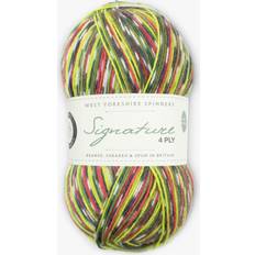 West Yorkshire Spinners Signature 4 Ply Yarn, 100g