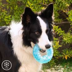 InnovaGoods 2-in-1 Freezable Pet Chew Toy