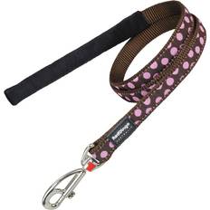 Red Dingo Narrow, Brown/Pink Spots Dog